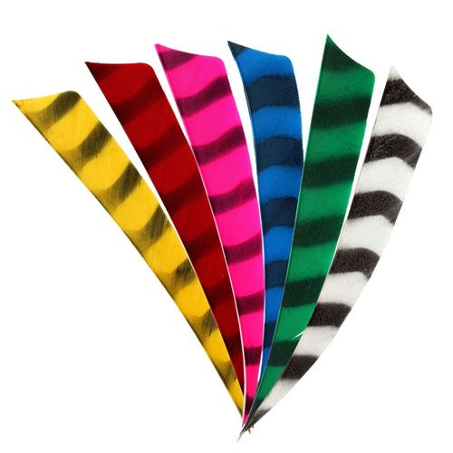 24 Pack of 4" Barred Shield Feathers