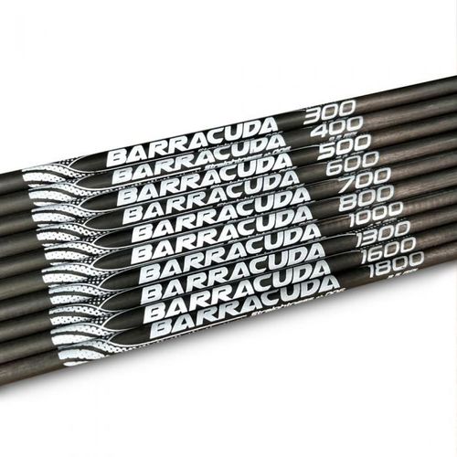6 x Custom Made Barracuda Arrows